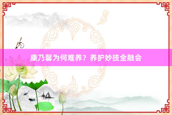 康乃馨为何难养?养护妙技全融会