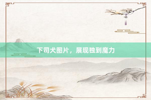 下司犬图片，展现独到魔力