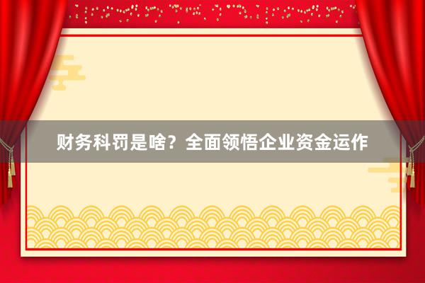 财务科罚是啥？全面领悟企业资金运作